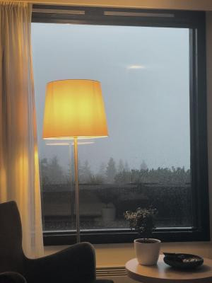 وکسناسن