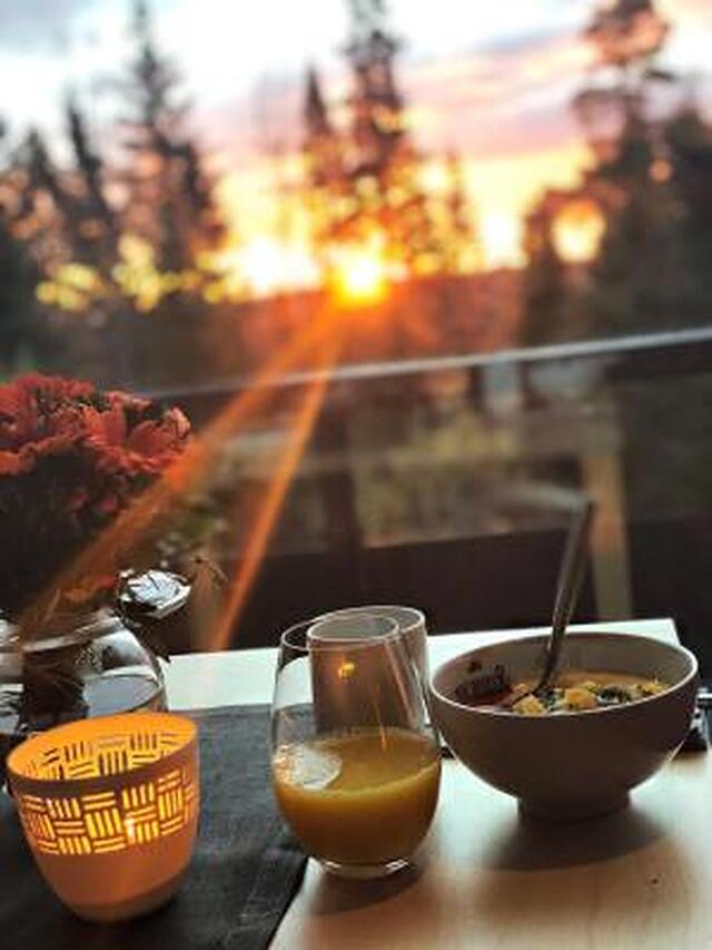 وکسناسن
