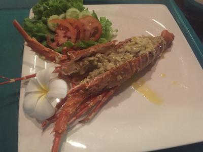 بان مای کتیجز