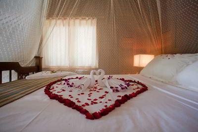 بان مای کتیجز