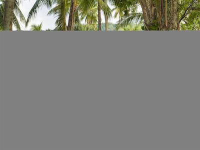 بان مای کتیجز