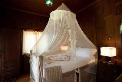 بان مای کتیجز