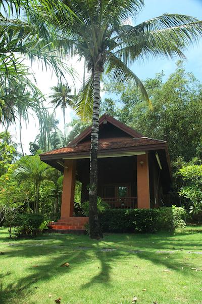 بان مای کتیجز