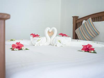 بان مای کتیجز