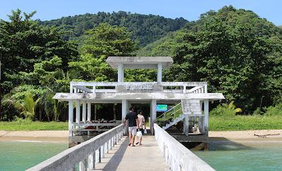 بان مای کتیجز