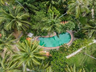 بان مای کتیجز