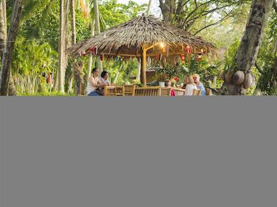 بان مای کتیجز