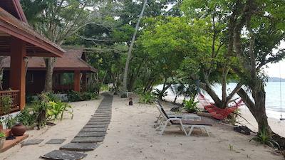 بان مای کتیجز