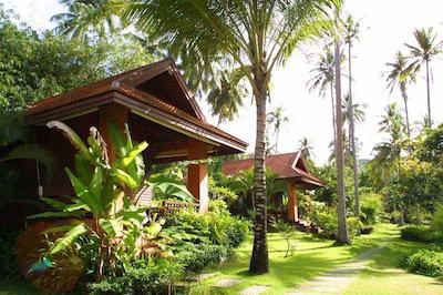 بان مای کتیجز