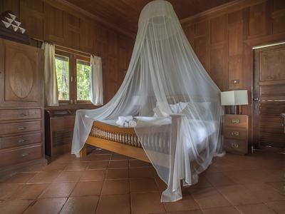 بان مای کتیجز