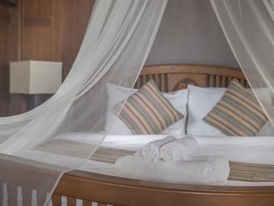 بان مای کتیجز