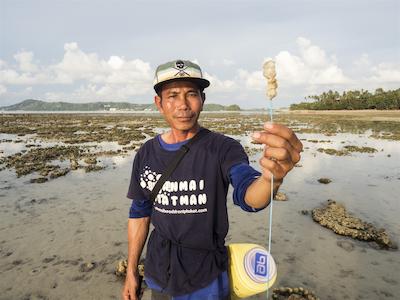 بان مای کتیجز