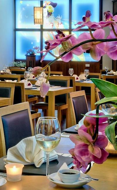 گریفید هتل بلرو