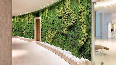 ایکز اُسینیا