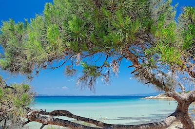 ایکز اُسینیا