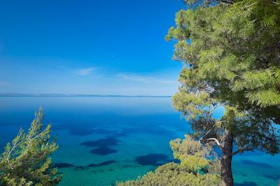 ایکز اُسینیا