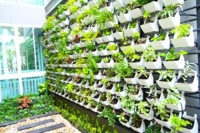 ات رزیدنس سووارنابومی