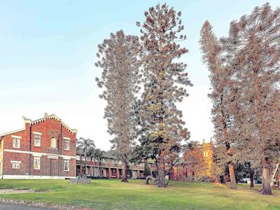 مرکور میتلاند منت پیو