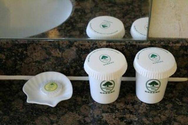 گرین تری این بیجینگ چائویانگ شیلیه سابوی استیشن اکسپرس هتل