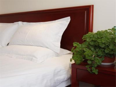 گرین تری این بیجینگ چائویانگ شیلیه سابوی استیشن اکسپرس هتل