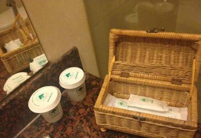 گرین تری این بیجینگ چائویانگ شیلیه سابوی استیشن اکسپرس هتل