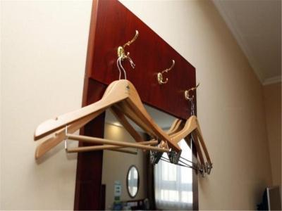 گرین تری این بیجینگ چائویانگ شیلیه سابوی استیشن اکسپرس هتل