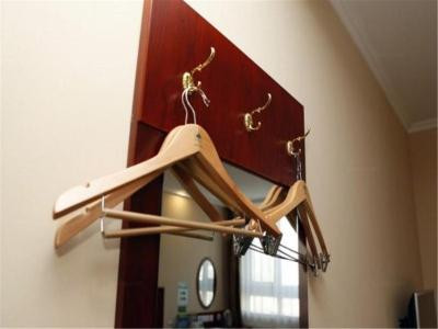 گرین تری این بیجینگ چائویانگ شیلیه سابوی استیشن اکسپرس هتل