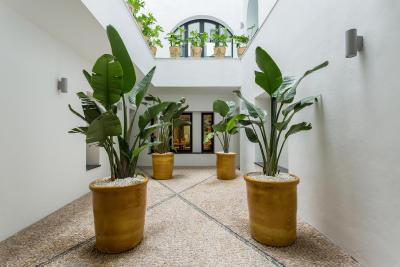 روم مات والریا