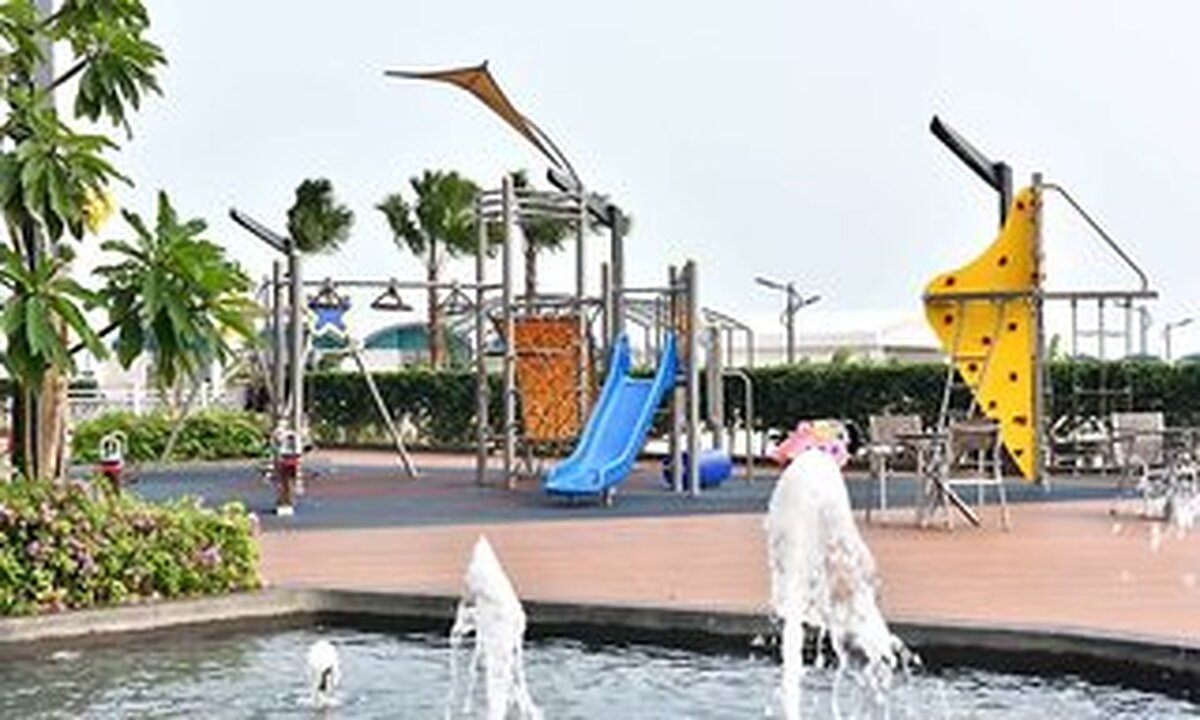 لکسیز هیبیسوز