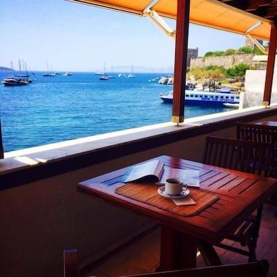 باک پانسیین