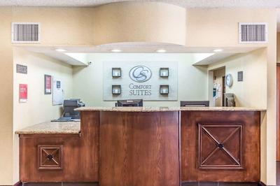 کمفرت سویتز نرد دالاز