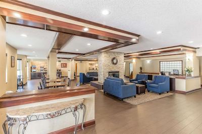 کمفرت سویتز نرد دالاز