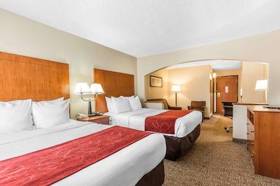 کمفرت سویتز نرد دالاز