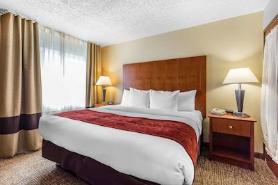 کمفرت سویتز نرد دالاز