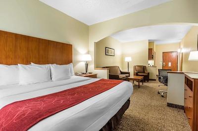 کمفرت سویتز نرد دالاز