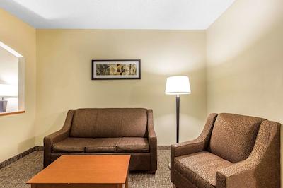 کمفرت سویتز نرد دالاز