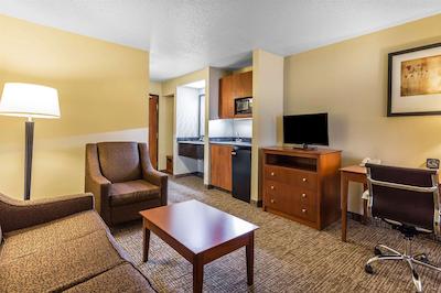 کمفرت سویتز نرد دالاز