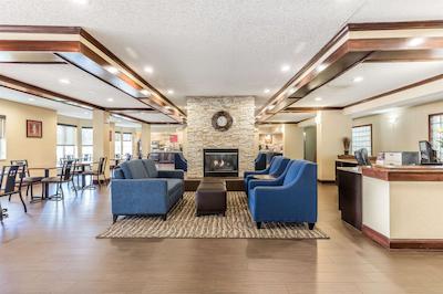 کمفرت سویتز نرد دالاز