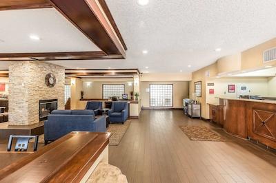 کمفرت سویتز نرد دالاز