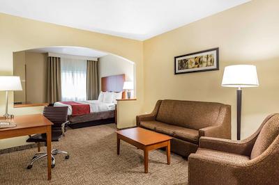 کمفرت سویتز نرد دالاز