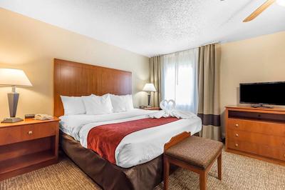 کمفرت سویتز نرد دالاز