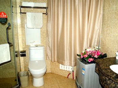 گرین تری این بیجینگ بیکیجیا تکنولوژی سیتی اکسپرس هتل