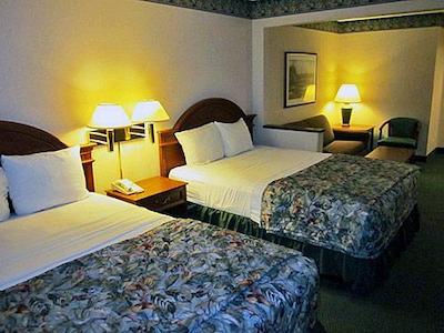 متل 6 دالاز نردوست