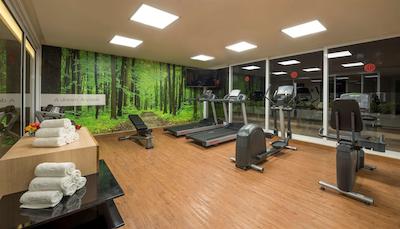 نه کالکشن گوادالاجارا سنترو هیستریکو