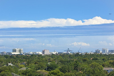 ریورسید