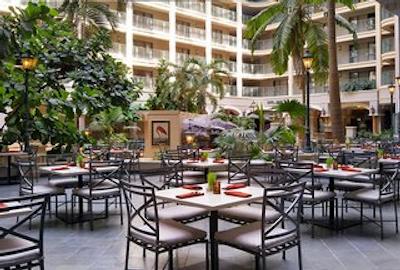 شراتون سویتز فرت لاودردال ات سیپرز کریک