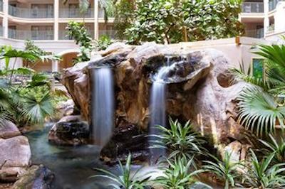 شراتون سویتز فرت لاودردال ات سیپرز کریک