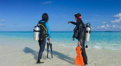 آداران سلکت میدهوپارو