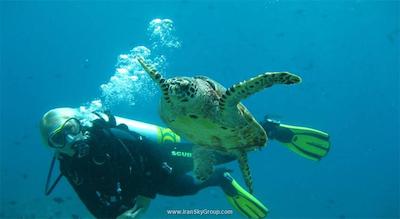 آداران سلکت میدهوپارو