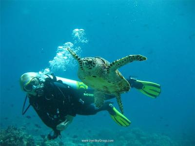 آداران سلکت میدهوپارو